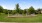 a large green lawn with a white fence and trees