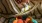 a person is holding an orange