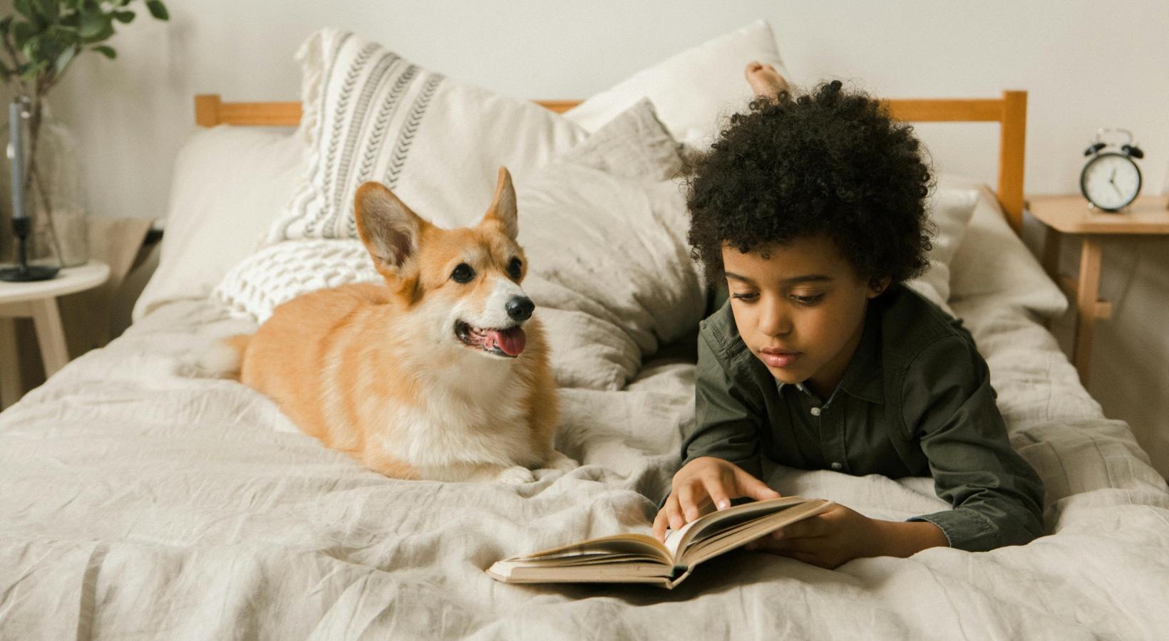 We love our furry friends a boy reading a book to a dog