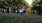 a group of people doing yoga