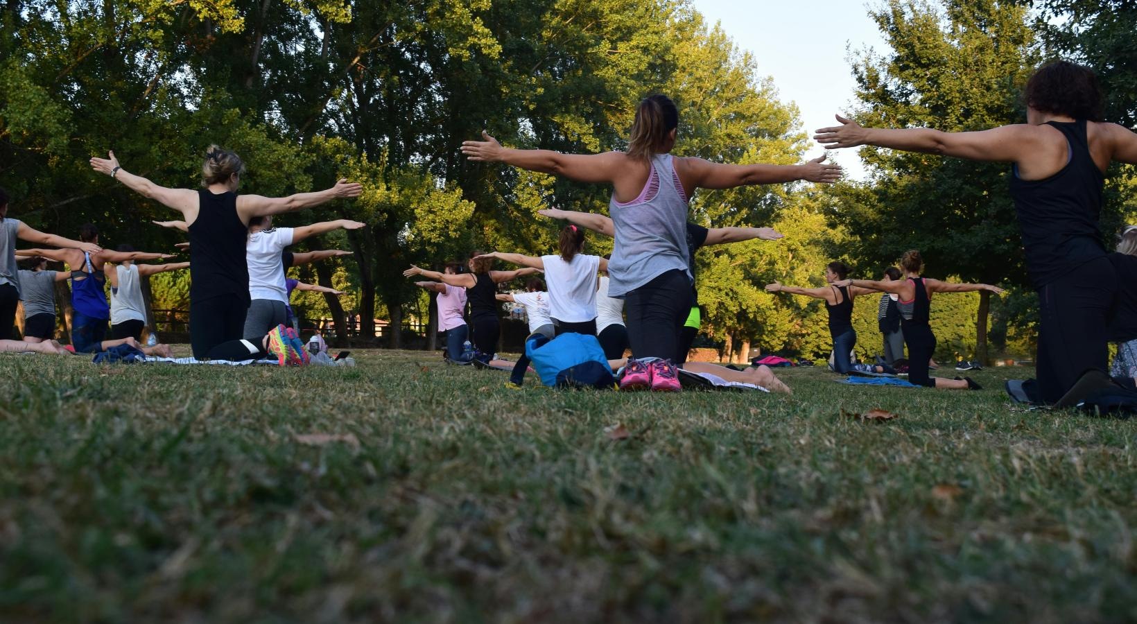 Get your workout on a group of people doing yoga