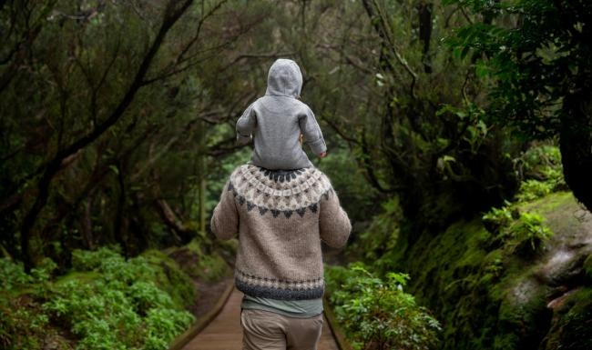 a person walking on a path in a forest