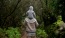 a person walking on a path in a forest