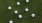 a group of white balls on grass